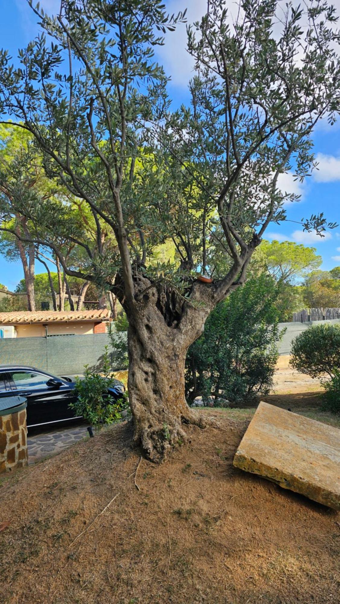 Villa Pinewood Santa Margherita di Pula